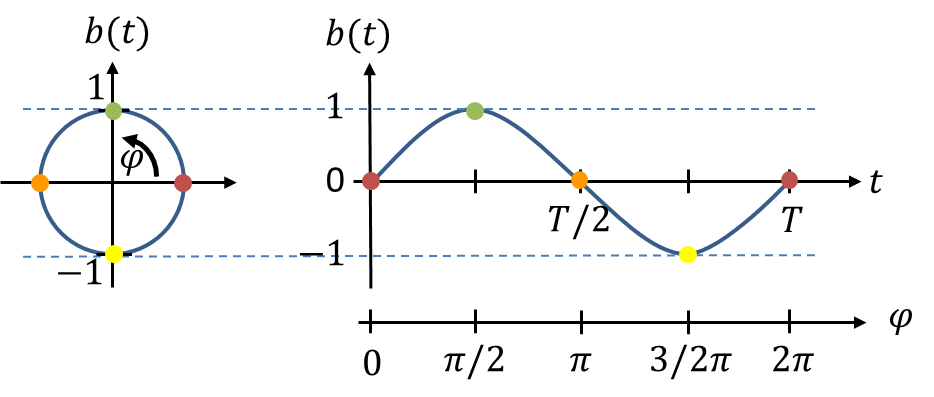 Tour sur le cercle unité et courbe sinusoïdale b(t) correspondante